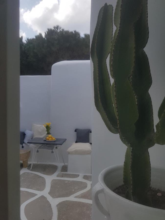 فيلا Cassaris Mykonos Drafaki المظهر الخارجي الصورة