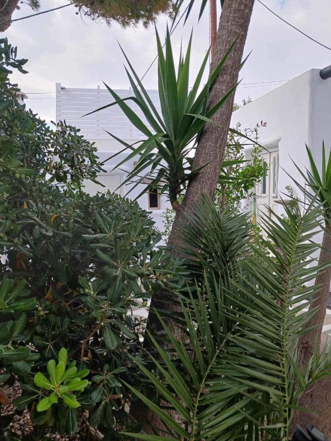 فيلا Cassaris Mykonos Drafaki المظهر الخارجي الصورة